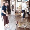 Templo del Tigre Tailandia 02